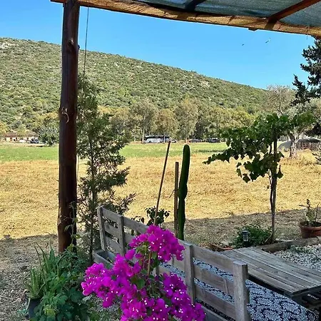 Hotel Tiny House Patara Kaș