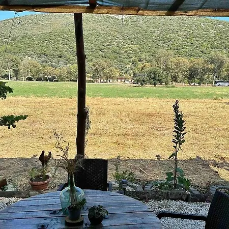 Tiny House Patara