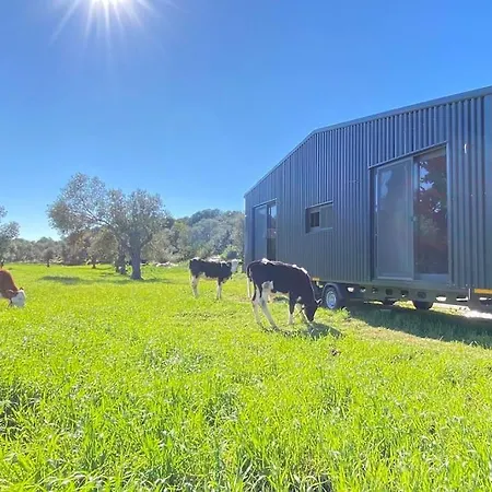 Hotel Tiny House Patara