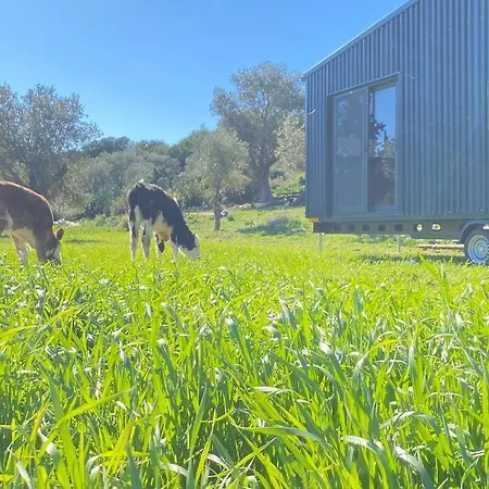 Tiny House Patara *