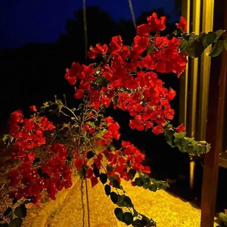 Holiday home Tiny House Patara Kas